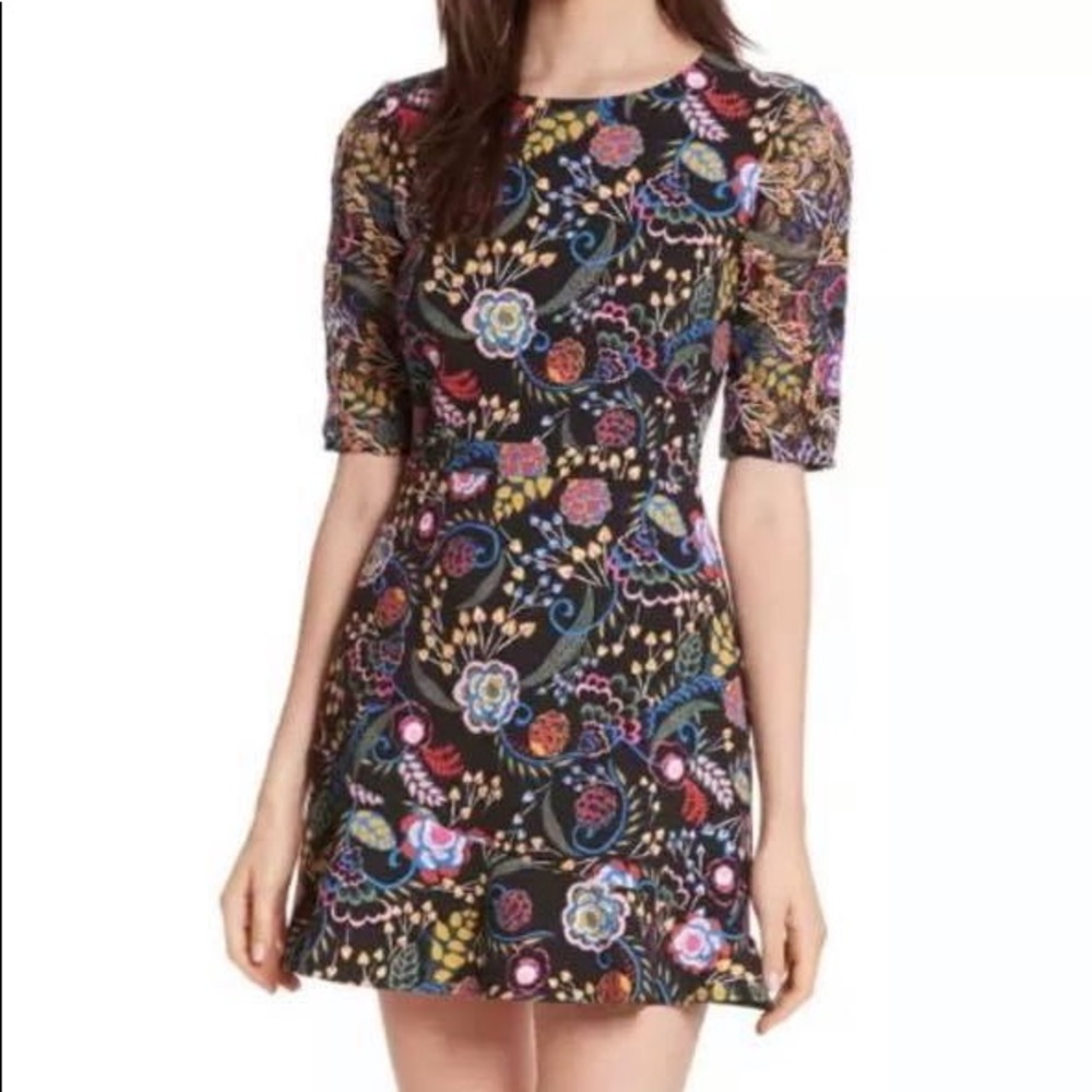 SALONI Celia Dress Size 2